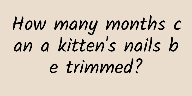How many months can a kitten's nails be trimmed?