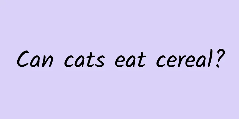 Can cats eat cereal?