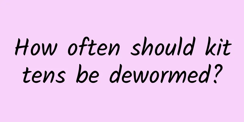 How often should kittens be dewormed?
