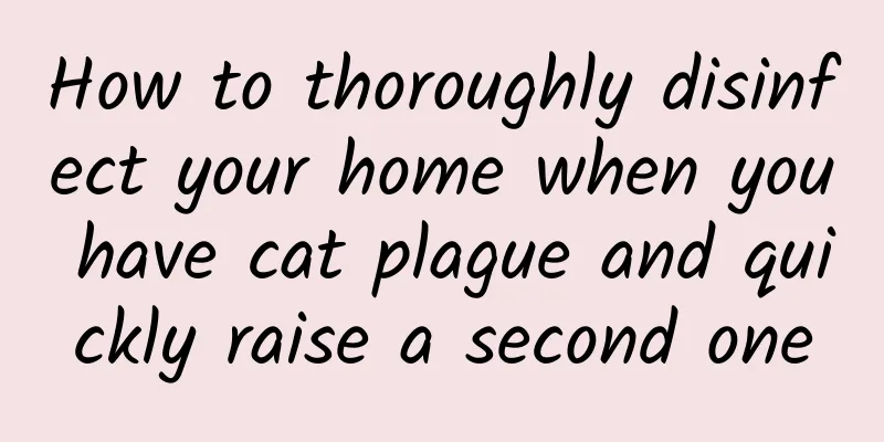 How to thoroughly disinfect your home when you have cat plague and quickly raise a second one