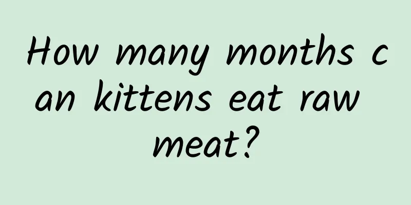 How many months can kittens eat raw meat?