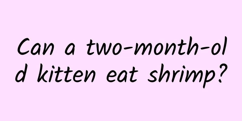 Can a two-month-old kitten eat shrimp?