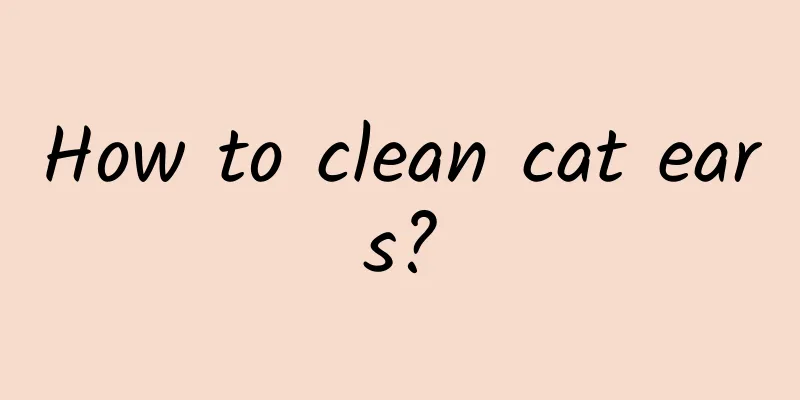 How to clean cat ears?