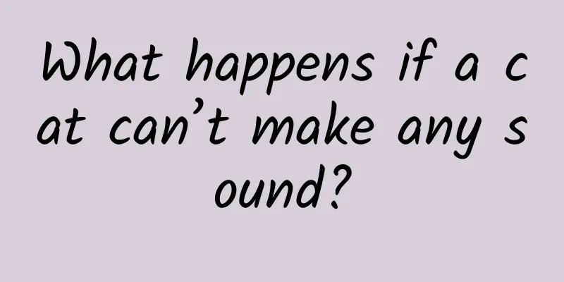 What happens if a cat can’t make any sound?