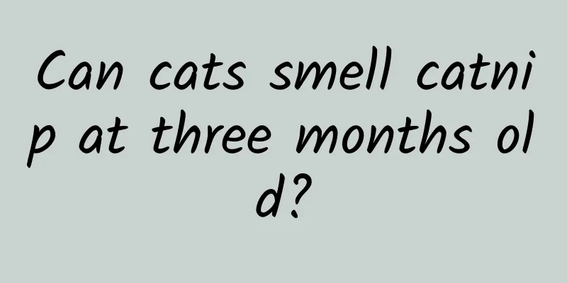 Can cats smell catnip at three months old?