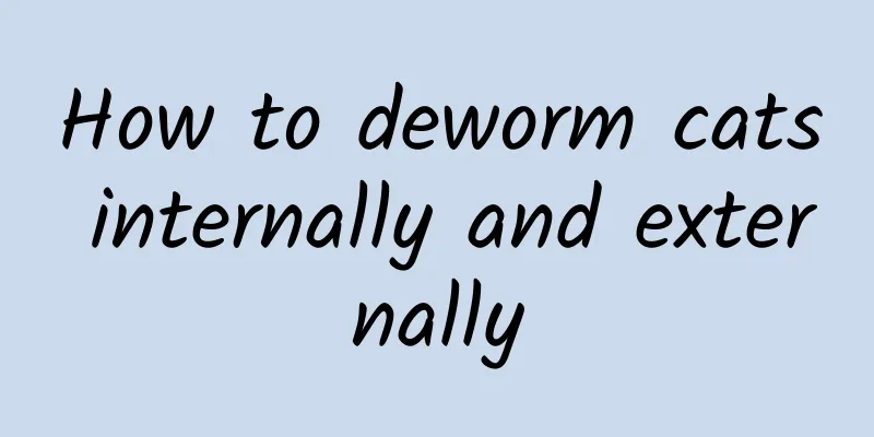 How to deworm cats internally and externally