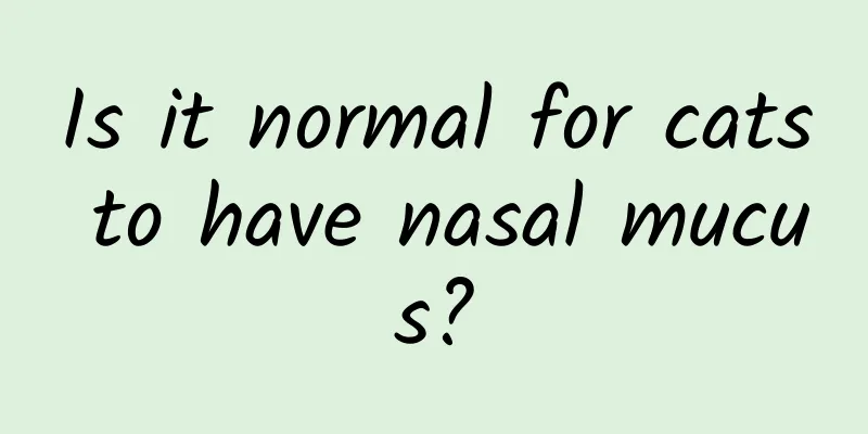 Is it normal for cats to have nasal mucus?