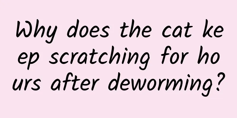 Why does the cat keep scratching for hours after deworming?