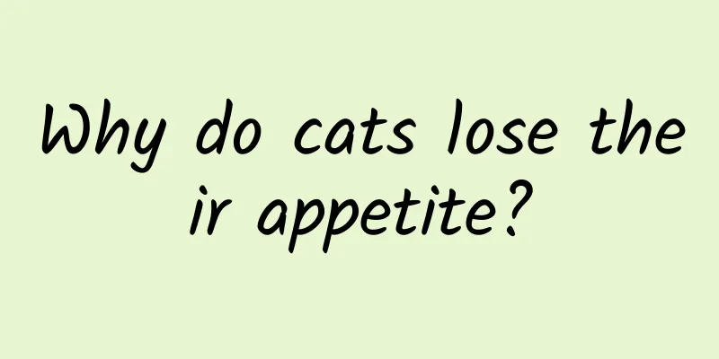Why do cats lose their appetite?