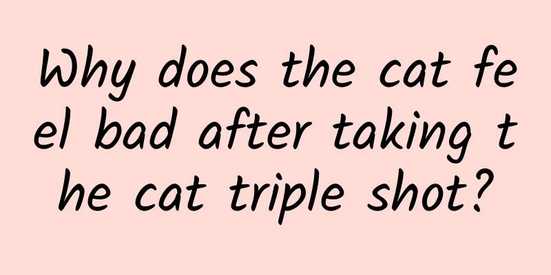 Why does the cat feel bad after taking the cat triple shot?