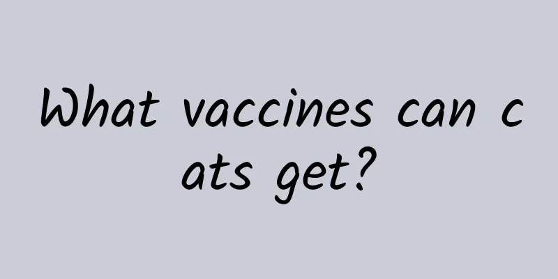 What vaccines can cats get?
