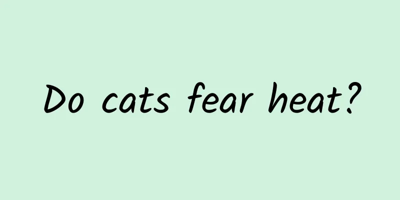 Do cats fear heat?