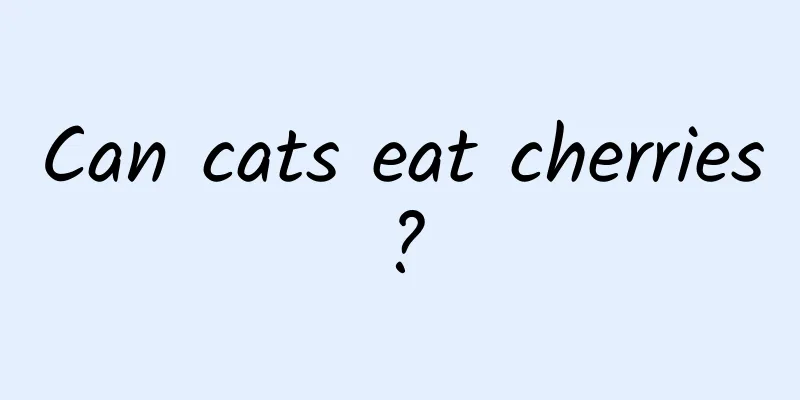 Can cats eat cherries?