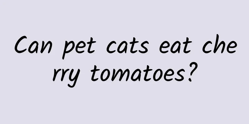 Can pet cats eat cherry tomatoes?