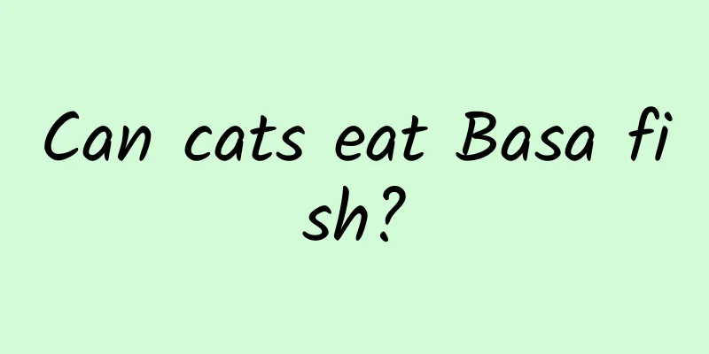 Can cats eat Basa fish?