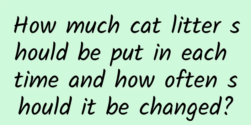 How much cat litter should be put in each time and how often should it be changed?