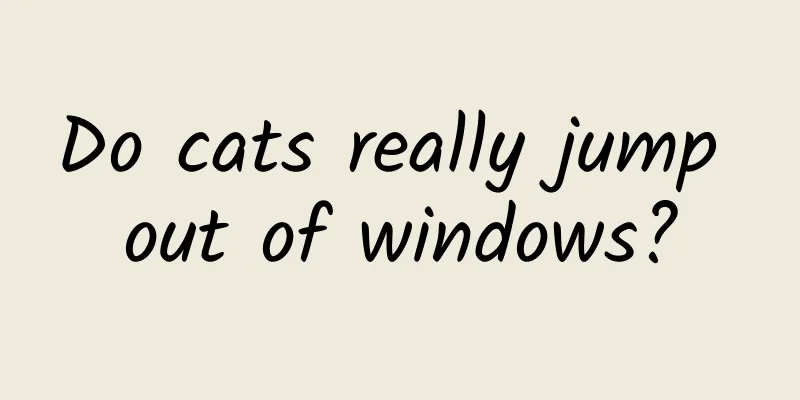 Do cats really jump out of windows?