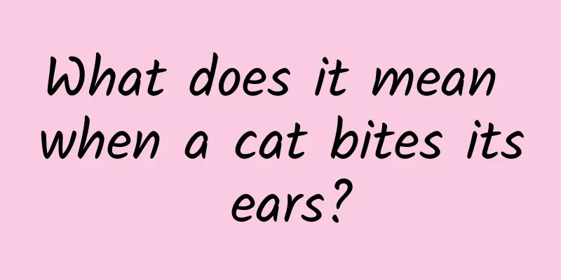 What does it mean when a cat bites its ears?