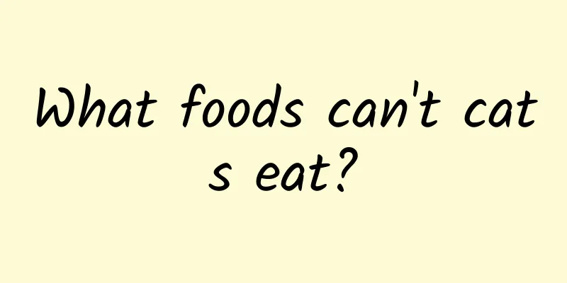 What foods can't cats eat?