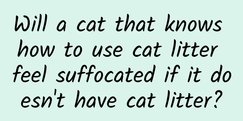 Will a cat that knows how to use cat litter feel suffocated if it doesn't have cat litter?