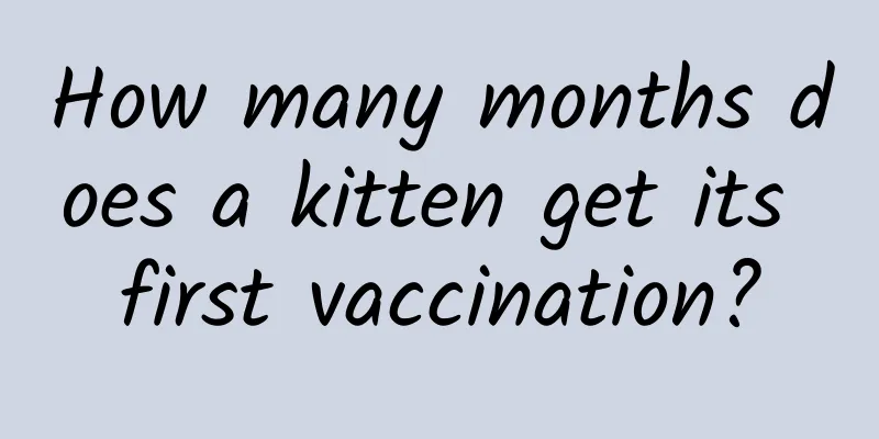 How many months does a kitten get its first vaccination?
