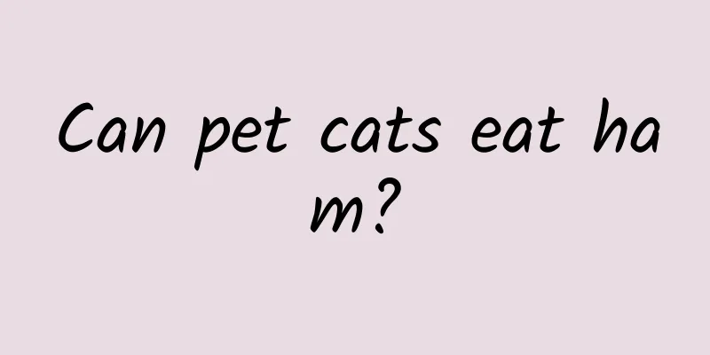 Can pet cats eat ham?