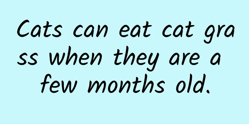 Cats can eat cat grass when they are a few months old.