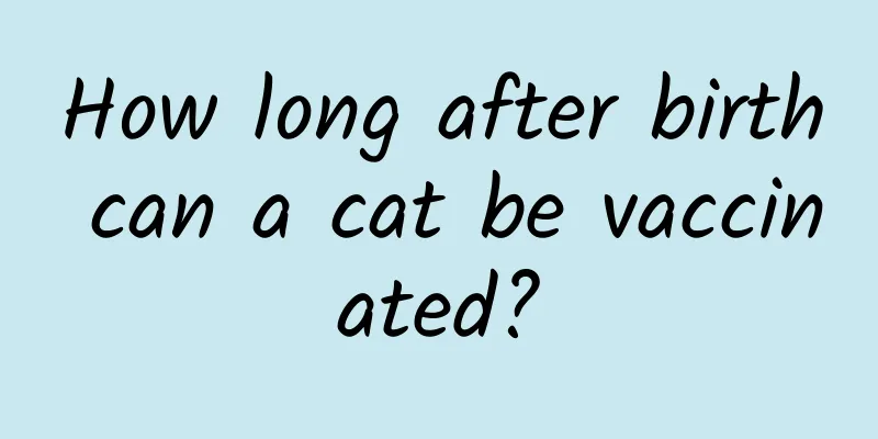 How long after birth can a cat be vaccinated?