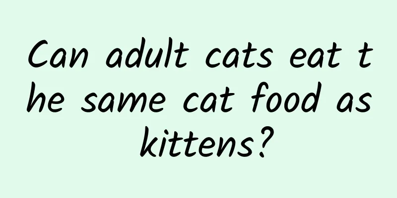 Can adult cats eat the same cat food as kittens?