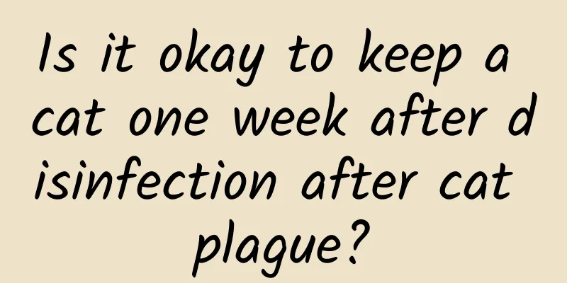 Is it okay to keep a cat one week after disinfection after cat plague?