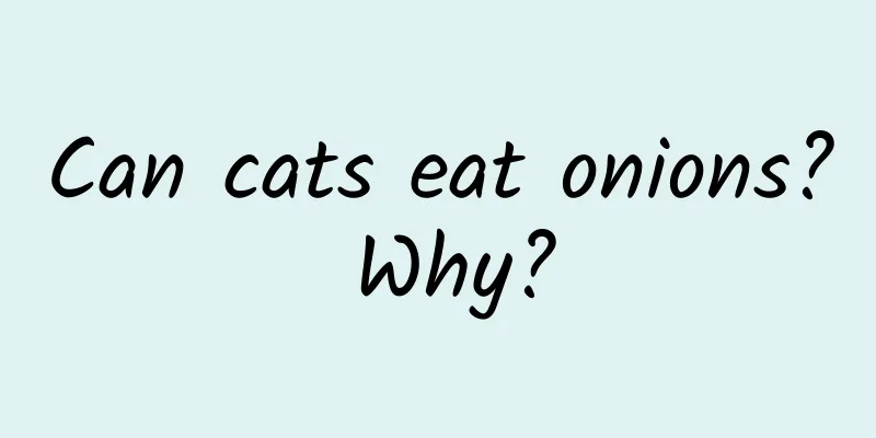 Can cats eat onions? Why?