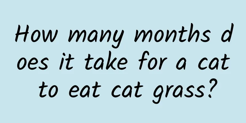 How many months does it take for a cat to eat cat grass?