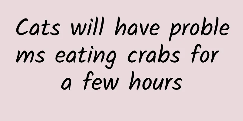 Cats will have problems eating crabs for a few hours