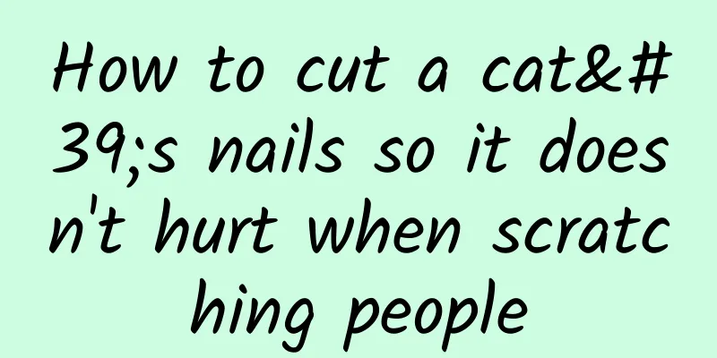How to cut a cat's nails so it doesn't hurt when scratching people