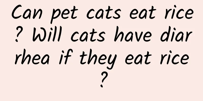 Can pet cats eat rice? Will cats have diarrhea if they eat rice?