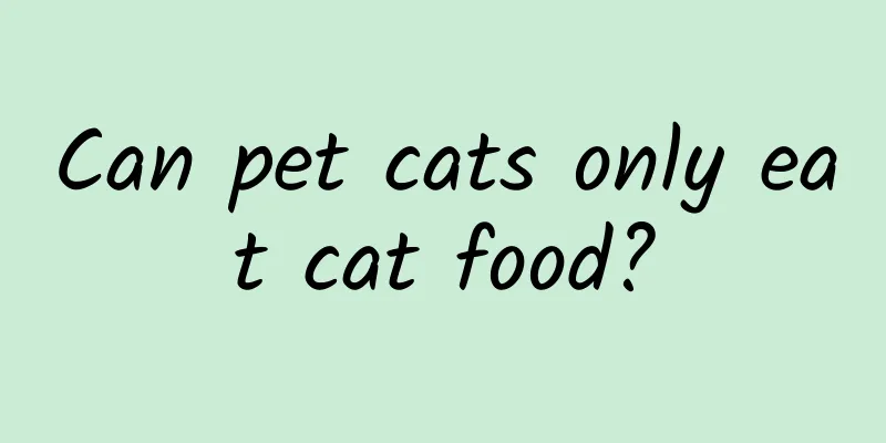 Can pet cats only eat cat food?