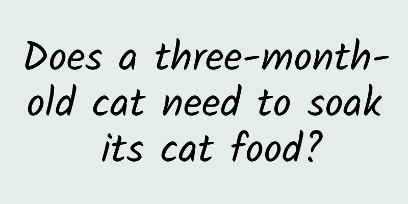 Does a three-month-old cat need to soak its cat food?