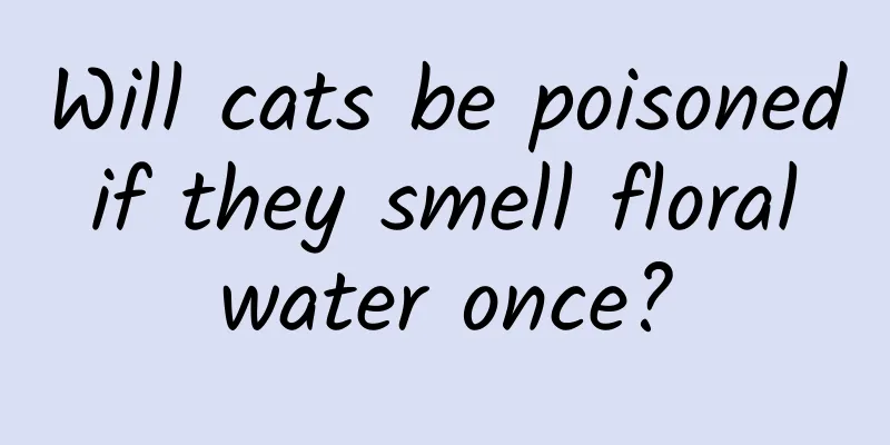 Will cats be poisoned if they smell floral water once?