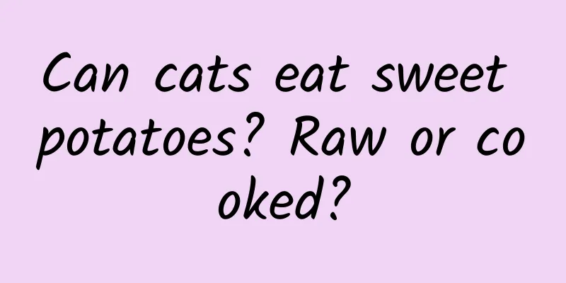 Can cats eat sweet potatoes? Raw or cooked?
