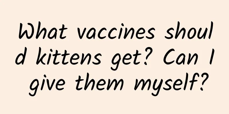 What vaccines should kittens get? Can I give them myself?