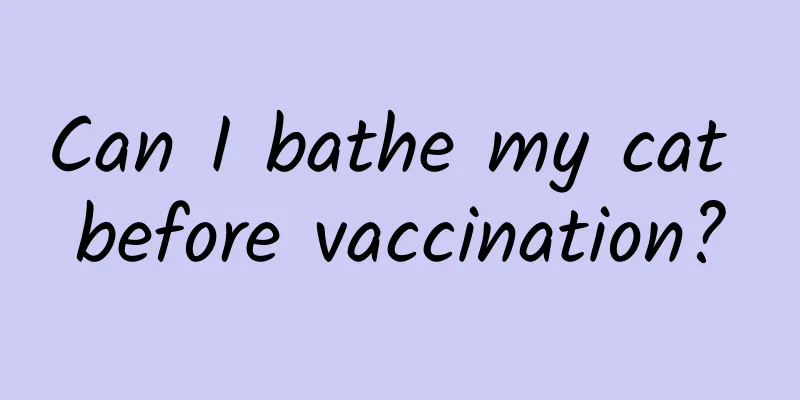 Can I bathe my cat before vaccination?