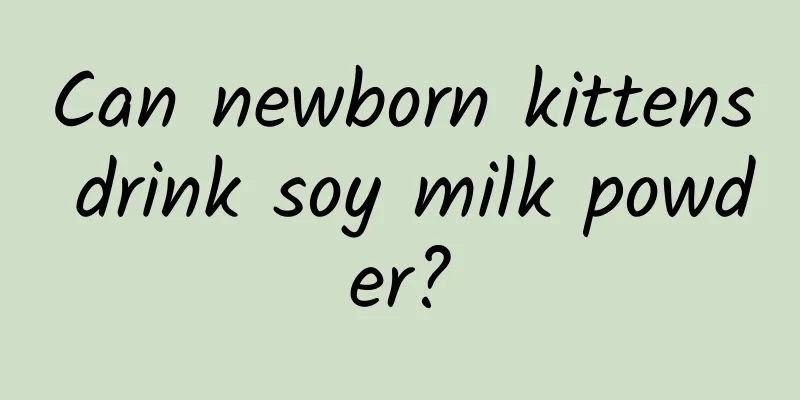 Can newborn kittens drink soy milk powder?