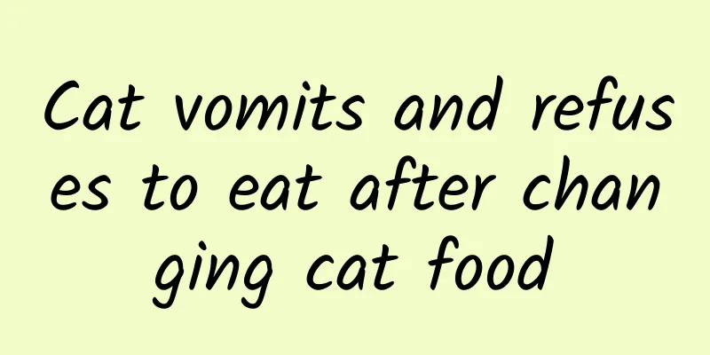 Cat vomits and refuses to eat after changing cat food