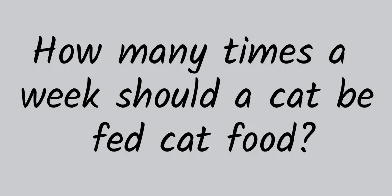 How many times a week should a cat be fed cat food?
