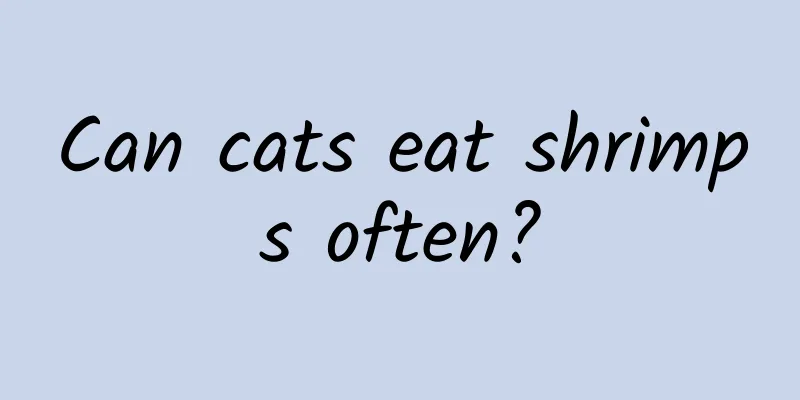 Can cats eat shrimps often?