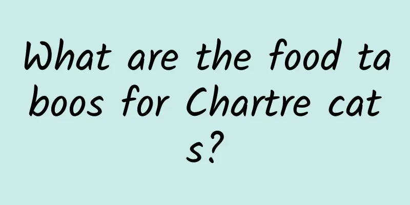 What are the food taboos for Chartre cats?