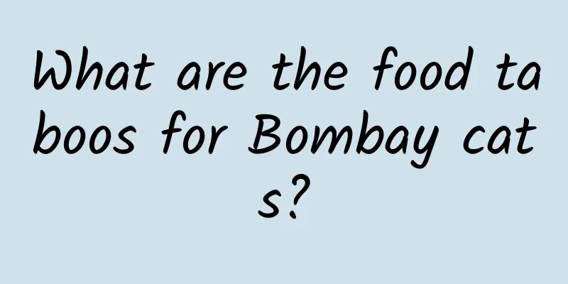 What are the food taboos for Bombay cats?