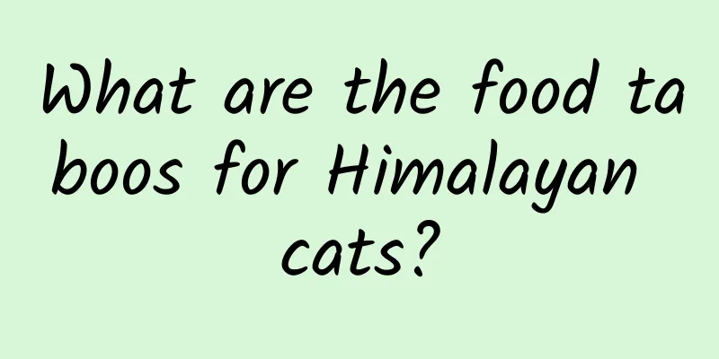 What are the food taboos for Himalayan cats?