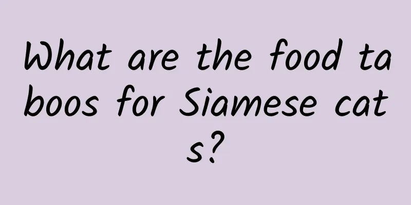 What are the food taboos for Siamese cats?