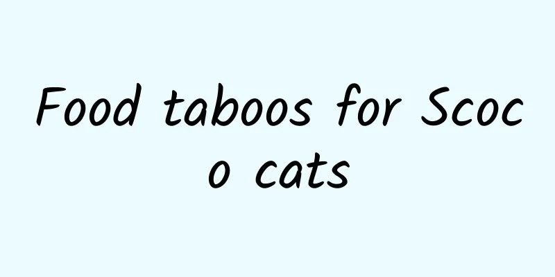 Food taboos for Scoco cats